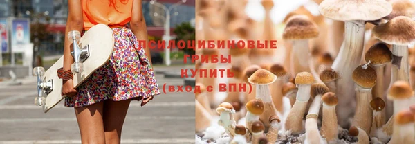 Альфа ПВП Баксан